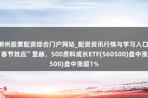 郴州股票配资综合门户网站_配资资讯行情与学习入口 A股“春节效应”显赫，500质料成长ETF(560500)盘中涨超1%