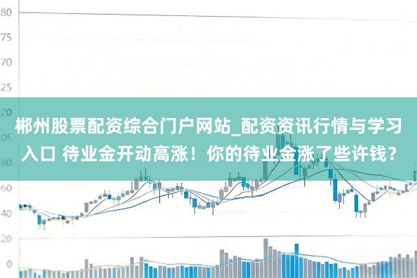 郴州股票配资综合门户网站_配资资讯行情与学习入口 待业金开动高涨！你的待业金涨了些许钱？