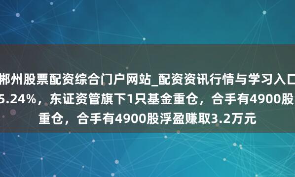 郴州股票配资综合门户网站_配资资讯行情与学习入口 聚辰股份股价涨5.24%，东证资管旗下1只基金重仓，合手有4900股浮盈赚取3.2万元