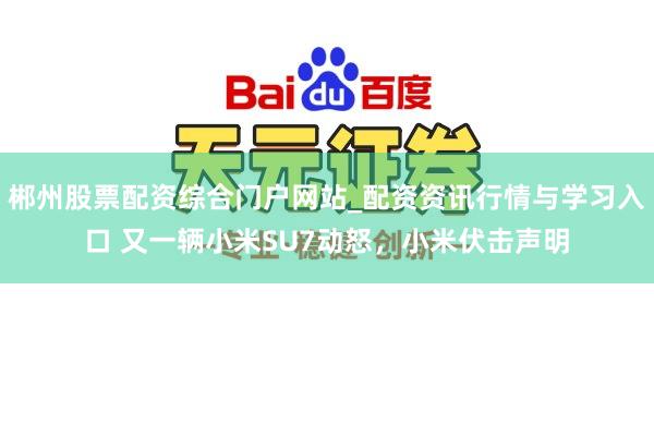 郴州股票配资综合门户网站_配资资讯行情与学习入口 又一辆小米SU7动怒，小米伏击声明